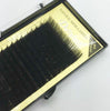Individual False Eyelash Extension