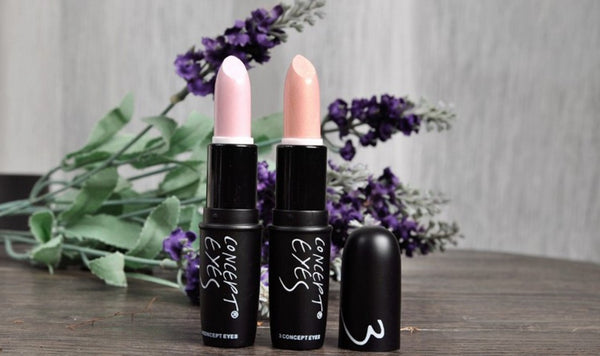 Bronzer & Highlighter Make Up Concealer