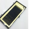 Individual False Eyelash Extension